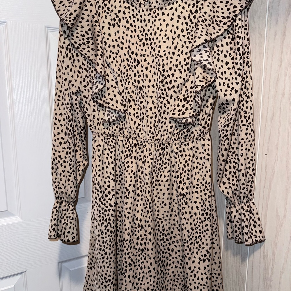 Long Sleeve Leopard Print Dress